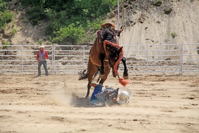 牛仔在马旁边的地上